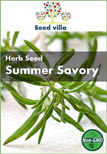 Seed Villa Summer Savory Herb Seed - Approx. 1,750 Seeds - Herb Heirloom Vegetable