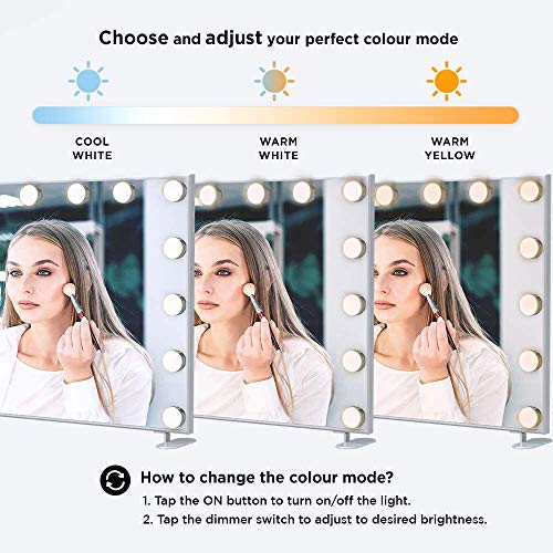 Melur Hollywood Makeup Mirror with 14 LED Lights,Touch Control Large Cosmetic Vanity Mirror with Dimmable Bulbs, Aluminium Frame Tabletop or Wall Mounted Vanity Mirror in Silver
