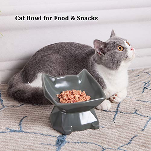 Jemirry Ceramic Raised Cat Bowl Anti Vomiting,Elevated Cat Bowls with