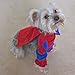Alfie Pet - Superhero Costume Spiderman - Size: M
