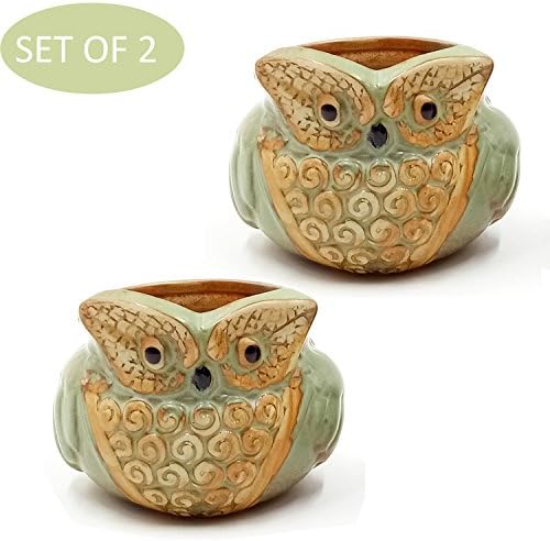 LEANDALE Succulent Pots Cactus plant flower Mini Owl Animal Pots Rustic Antique Green Set of 2 in Gift Box (Green-Owl)