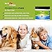 In-It Pets All Natural Probiotics for Dogs and Cats by Top Quality Dog Probiotics to Relieve Allergies, Constipation, Bad Breath, Gas, and Diarrhea, 2 Billion CFU per Scoop, 5 oz Container