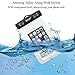 Ailun Waterproof iPhone 6 case Armband Bag Universal for iPhone 7 6 Plus 6 6s 5s 5c Samsung Galaxy S6 Edge S5 S4 Note 4 3 2 Nexus 6 5 4 LG G4 3 Xperia Z3 1 for Boating Hiking Swimming Diving White