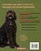 Goldendoodles: Everything About Purchase, Care, Nutrition, Behavior and Training (Complete Pet Owner's Manual)