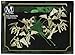 Wyrd Miniatures WYR20233 Resurrectionists - Night Terrors
