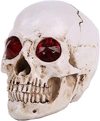 Shuai Harz Schadel Table Top Skeleton Kopf Haus Scientific Miniatur Schadel Hausbar Tischdekoration Amazon De Sport Freizeit