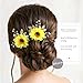 Jakawin Bride Wedding Sunflower Hair Pins Bridal Hair Accessories Hair Piece for Women and Girls 2 PCS HP050