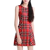 Allegra K Women's Round Neck Sleeveless Plaids Mini A Line Dress
