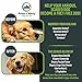 #1 Calming Treats for Dogs Anxiety, Stress Relief from Separation Anxiety, Natural Soft Chews & Calm Aid for Motion Sickness, Storms with Organic Hemp Oil, L-Tryptophan & Organic Chamomile |120 Soft