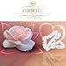 ORROUS & CO Legacy Collection 18K White Gold Plated Princess Crown Tiara Cubic Zirconia Enhancer Guard Double Ring