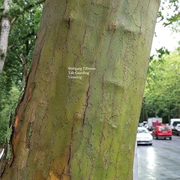 Life Guarding / Growing