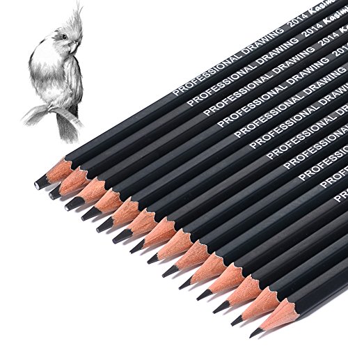 14Pcs/Set Art Sketch Pencils - 12B,10B,8B,7B,6B,5B,4B,3B,2B,B,HB,2H,4H,6H - Graphite Pencil for Adults & Kid Artists Drawing Beginners - 2H Pencil - Thumbnail 2