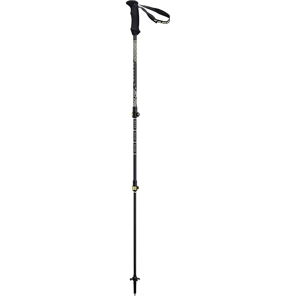 backcountry trekking poles