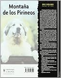 Image de Montaña de los pirineos/ Pyrenees Mountains (Razas De Perros) (Spanish Edition)