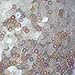 4mm Flat Round Sequins ~ Crystal IRIS Rainbow Iridescent Warm hue ~ Loose Paillette Sequins for Embr