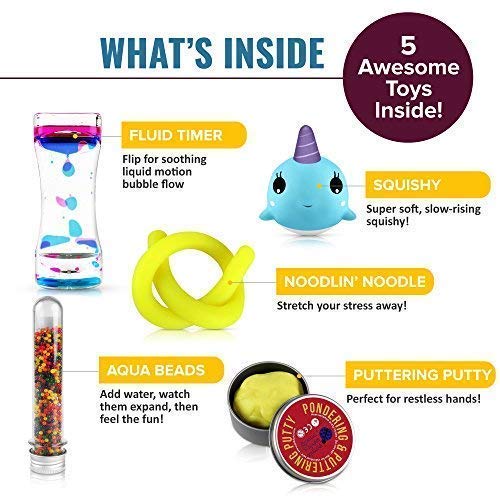 Fidget Toys Mix Pack - Mixed Pack of 5 Sensory Toys for Stress Relief Includes Liquid Motion Timer, Slow Rising Squishy Toy, Color Changing Therapy Putty for Kids, Stretchy Noodle, Kids Water Beads