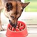 HSpet-HOME Dog Bowls Slow Feeder Fun Interactive Anti-Choke Pet Bowl Non-Slip Drink Water Bowl Healthy Food Bowl Bloat Stop Happy Foraging Bowl (Red)