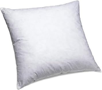 Amazon Com Dreamhome 20 X 20 Square Poly Pillow Insert 2