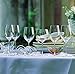Riedel Sommeliers Vintage Champagne Glass