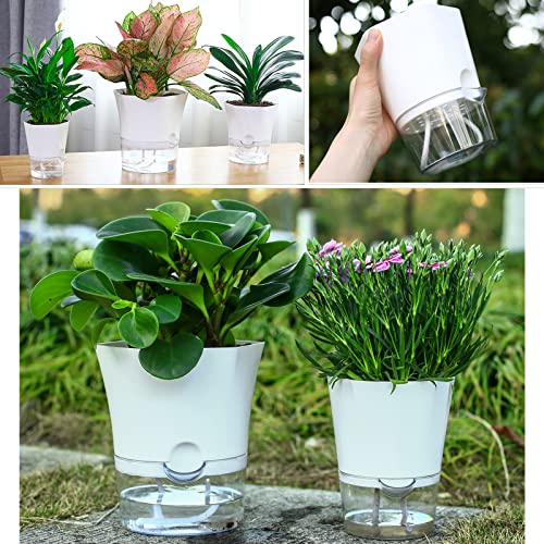 6Pack 6" Clear Self Watering Pots for Indoor Plants Large Hexagon Self