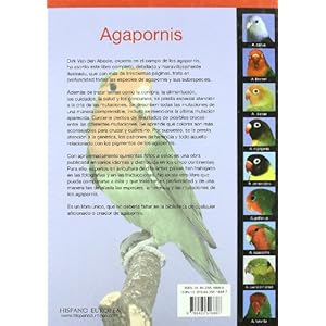 Agapornis / Lovebird (Pajaros / Birds) (Spanish Edition)