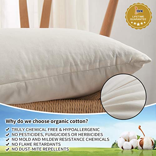 Lofe Buckwheat Hull Pillow for Sleeping with Organic Cotton Cover, Adjustable Loft of Premium Fiber Layer, Japanese Size(14x20), Breathable for Cool Sleep, Cervical Support for Back and Side Sleepers - Thumbnail 4