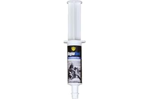 MagnaGard Pre-Performance Paste for Horses - All Natural Calmer, Acid Buffer, Gastric Support w/Electrolytes - 60ml Syringe