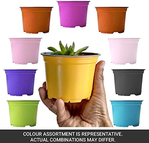 Modiform™ Thin Flexible Small POTS 4 inch Diameter Multi-Colour Planter Pots (Thermoformed Plastic - Made in Europe) Pack of 10