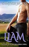 Liam (Destiny in Deadwood) (Volume 2)