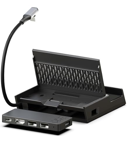 Amazon.com: Skull & Co. x Savage Raven SteamDock PRO: A Compact