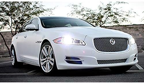 Avery SW900 Satin White | 116-O | Vinyl CAR WRAP Film (5ft x 10ft (50 Sq/ft)) w/Free-Style-It Pro-Wrapping Glove