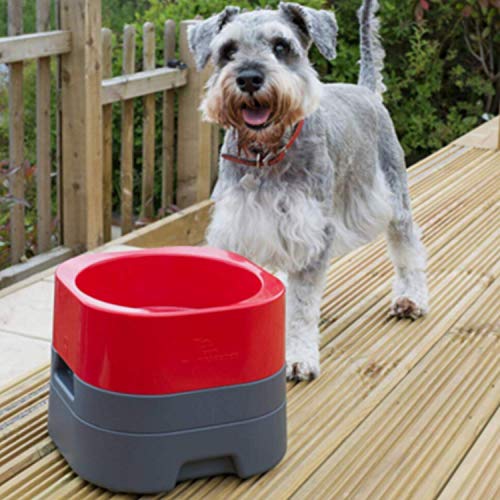 Elevated Dog Bowls for Large Dogs, Heavy Dog Food Bowls & Cat Bowls for