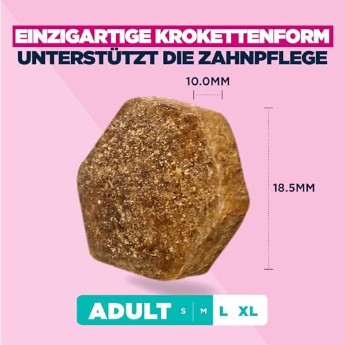 Hundefutter Trocken mit frischem Huhn für große Rassen, Premium Trockenfutter für ausgewachsene Hunde, 15 kg