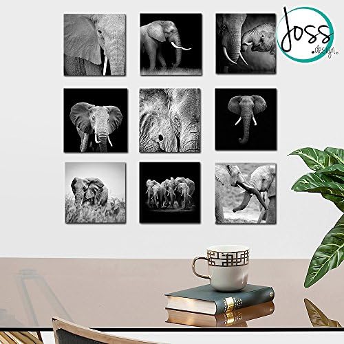 Wall Art Decor by JOSS DESIGN 9 Pieces Set, Ready to Hang! Black and White Elephants