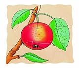 Beleduc Seed To Apple Five Layer Puzzle byHape