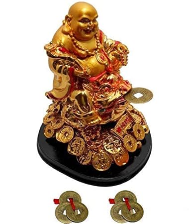 Buy Ripe India Feng Shui Laughing Buddha With Money Frog On