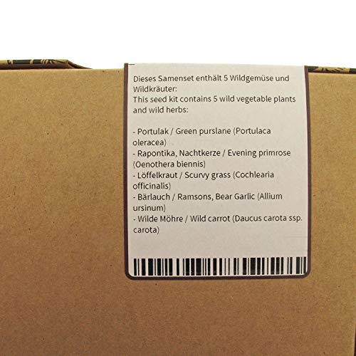 Magic Garden Seeds Kit de Semillas Regalo: Hortalizas Silvestres ...