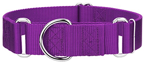 Country Brook Design 1 1/2 Inch Martingale Large Heavyduty Purple Nylon Dog Collars