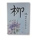 Re-writable Water Writing Chinese Calligraphy Exercise Book Brush for Beginner Quick Drying Fabric Cloth Paper for Beginners Practice Set (5 Items)