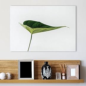 Canvas Wall Art - A Leaf Closeup Photo with White Background - Giclee Print Gallery Wrap Modern Home Art Ready to Hang - 12" x 18"