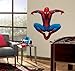RoomMates RMK1078GSCS Amazing Spiderman Stick Peel & Giant Wall Decal