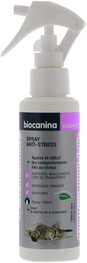 Biocanina Spray Anti Stress Chat 100 Ml Amazon Fr Animalerie