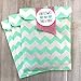 Outside the Box Papers Gold and Mint Green Treat Sacks - Chevron Polka Dot Favor Bags - 5.5 x 7.5 Inches - 48 Pack