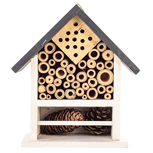 Parrot Essentials Wooden Bee, Ladybirds and Insects Bug House and Nesting Box