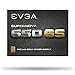 EVGA Supernova 650 GS, 80+ Gold 650W, Fully Modular, EVGA ECO Mode, 5 Year Warranty, Includes Free Power On Self Tester Power Supply 220-GS-0650-V1