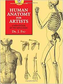 Human Anatomy For Artists A New Edition Of The 1849