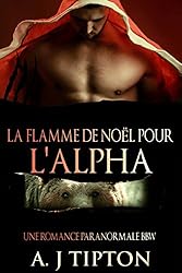 La flamme de Noël pour l'alpha (French Edition)