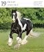 Horse 2015 Gallery Calendar