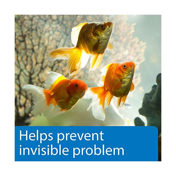 API 5-IN-1 TEST STRIPS Freshwater and Saltwater Aquarium Test Strips 4-Count Box