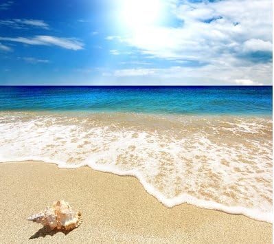 Amazon Co Jp Woliwowa 美しい 青い 空と 海 白い 砂浜 貝殻 ビーチ 風景 ポスター Bタイプ 並行輸入品 Kitchen Housewares